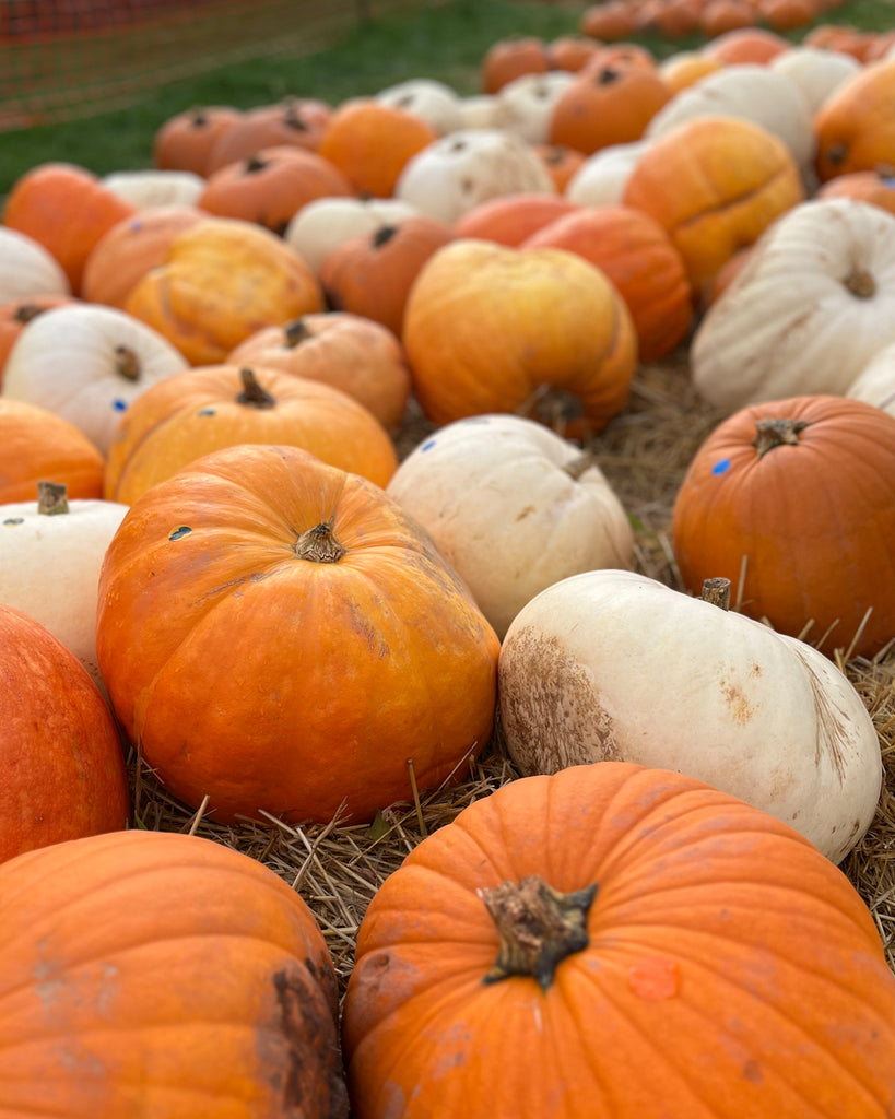 10 Autumnal Activities To Do With Kids